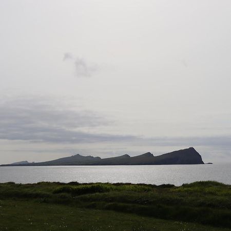 Ballydavid 老码头旅馆酒店 外观 照片